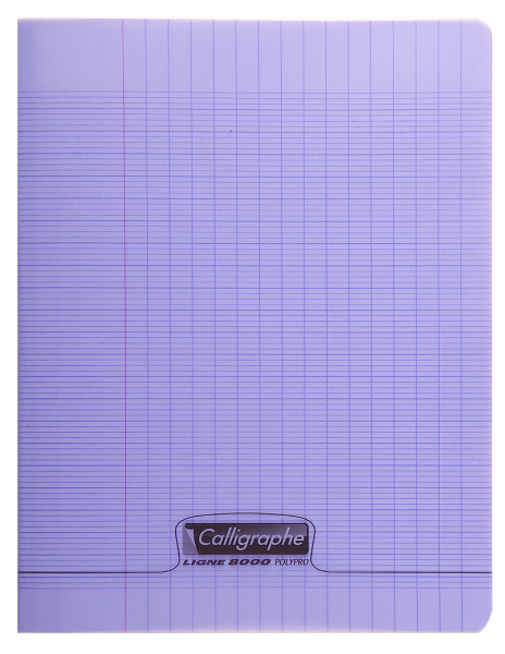 Cahier piqué 8000 POLYPRO 24x32 cm 48 pages grands carreaux 90 g